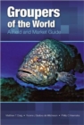 Image for Groupers of the World