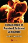 Image for Fundamentals of Premixed Turbulent Combustion