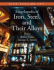 Image for Encyclopedia of iron, steel, and their alloys