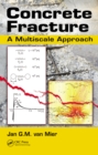 Image for Concrete fracture: a multiscale approach
