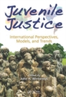 Image for Juvenile justice  : international perspectives, models, and trends