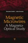 Image for Magnetic microwires: a magneto-optical study