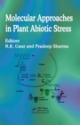 Image for Molecular Approaches in Plant Abiotic Stress