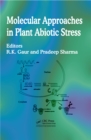 Image for Molecular approaches in plant abiotic stress