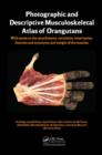 Image for Photographic and descriptive musculoskeletal atlas of orangutans  : with notes on the attachments, variations, innervations, function and synonymy and weight of the muscles