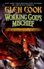 Image for Working God&#39;s mischief : Book 4