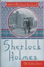 Image for Sherlock Holmes: The Hidden Years
