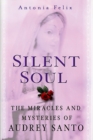 Image for Silent Soul: The Miracles And Mysteries Of Audrey Santo