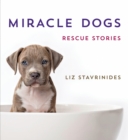 Image for Miracle dogs: rescue stories