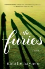 Image for The furies: a novel