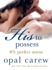 Image for His to Possess #3: Perfect Storm