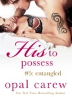 Image for His to Possess #5: Entangled