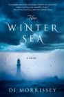 Image for The winter sea: a novel