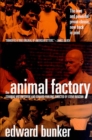 Image for Animal Factory: A Novel