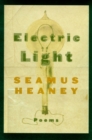 Image for Electric Light.