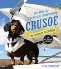 Image for Crusoe, the celebrity dachshund