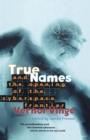 Image for True Names by Vernor Vinge and the Opening of the Cyberspace Frontier