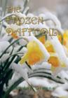 Image for The Frozen Daffodil