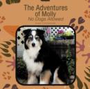 Image for The Adventures of Molly : No Dogs Allowed