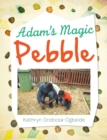 Image for Adam&#39;S Magic Pebble