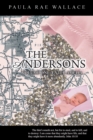 Image for Andersons: Volume One:  Enter Amelia