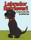 Image for Labrador Retriever!