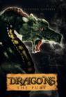 Image for Dragons : The Fury