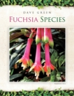 Image for Fuchsia Species