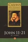 Image for John 11-21 &amp; 1 John