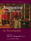 Image for Augustine through the Ages