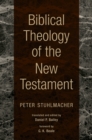 Image for Biblical Theology of the New Testament