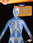 Image for Your Skeletal System