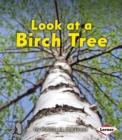 Image for Look at a Birch Tree
