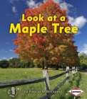 Image for Look at a maple tree
