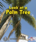 Image for Look at a palm tree