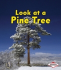 Image for Look at a pine tree