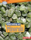 Image for Marveling at Minerals