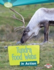 Image for Tundra Food Webs in Action