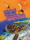 Image for Endangered and Extinct Reptiles