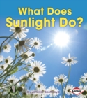 Image for What Does Sunlight Do?