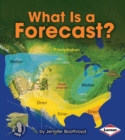 Image for What Is a Forecast?