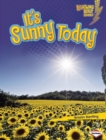 Image for It&#39;s Sunny Today