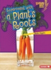 Image for Experiment with a Plants Roots