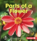 Image for Parts of a Flower