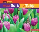 Image for From Bulb to Tulip