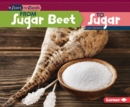 Image for From Sugar Beet to Sugar