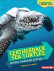 Image for Leatherback Sea Turtles