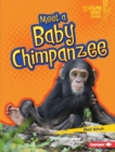 Image for Meet a Baby Chimpanzee
