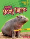 Image for Meet a Baby Hippo
