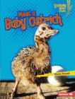Image for Meet a Baby Ostrich